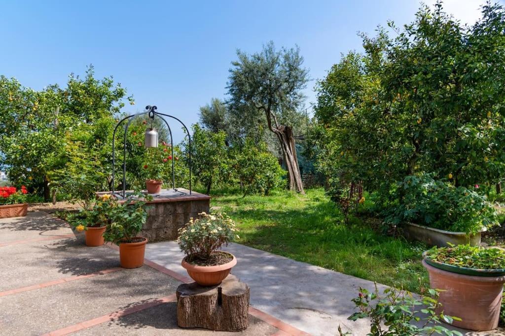 Sorrentovibes - Sea View Rooftop Apartment With Jacuzzi & Garden Kültér fotó