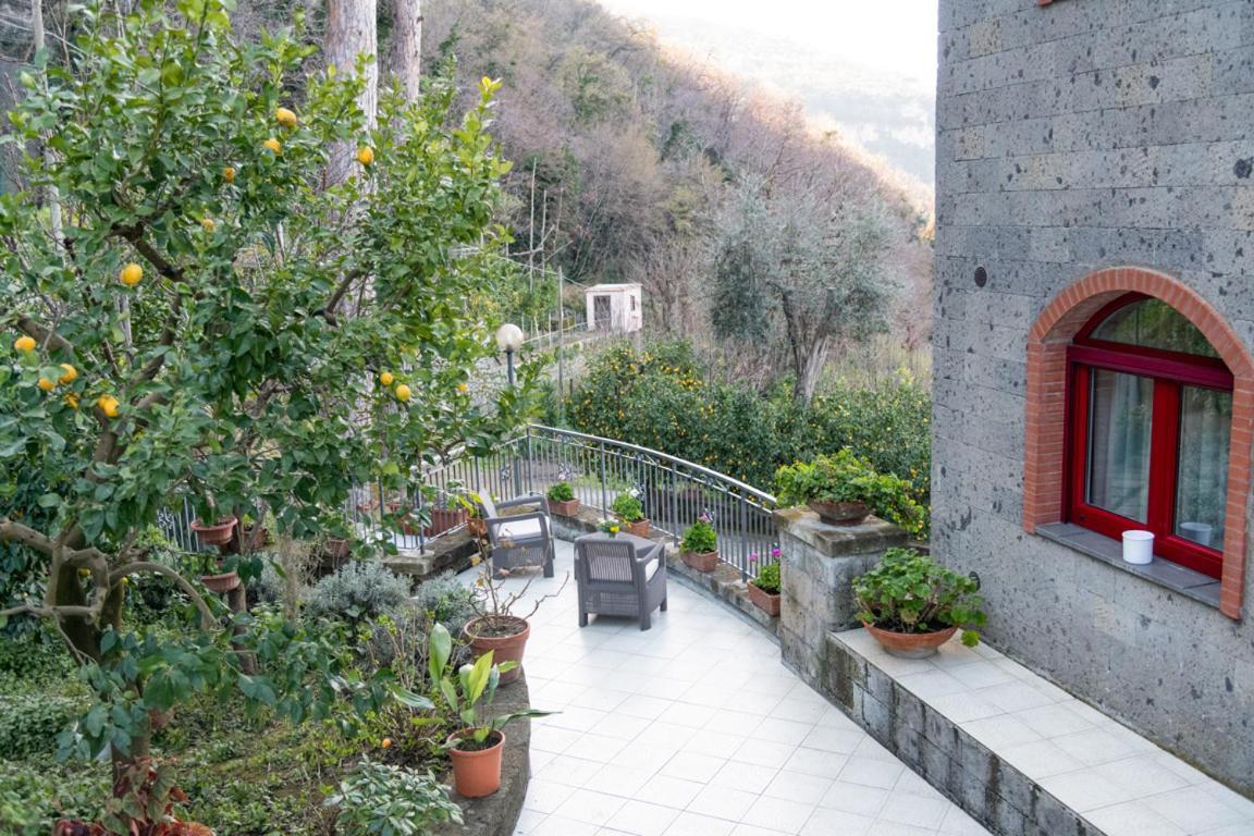 Sorrentovibes - Sea View Rooftop Apartment With Jacuzzi & Garden Kültér fotó